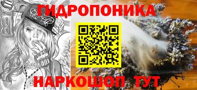 мяу мяу мука Нальчик