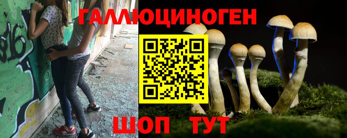 Галлюциногенные грибы MAGIC MUSHROOMS Тихвин